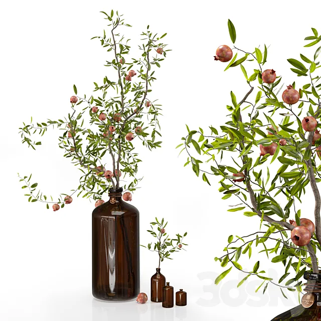 Pomegranate branches in pharmacy bottles 3ds Max