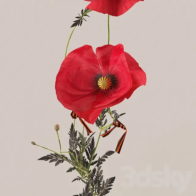 Poppies (Poppies) 3DSMax File