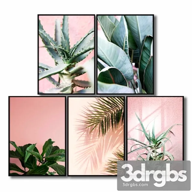 Posters with pink plants. 3dsmax Download