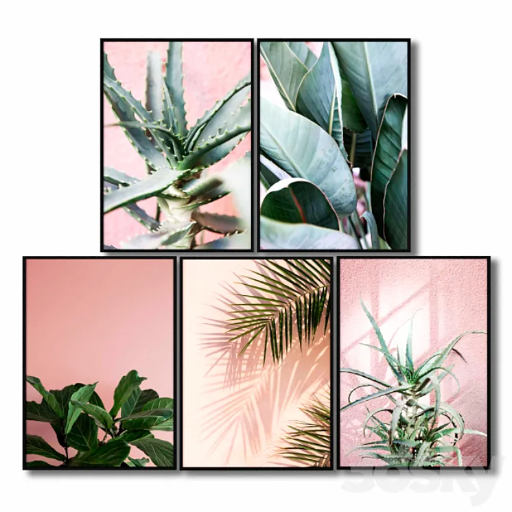 Posters with pink plants. 3DS Max