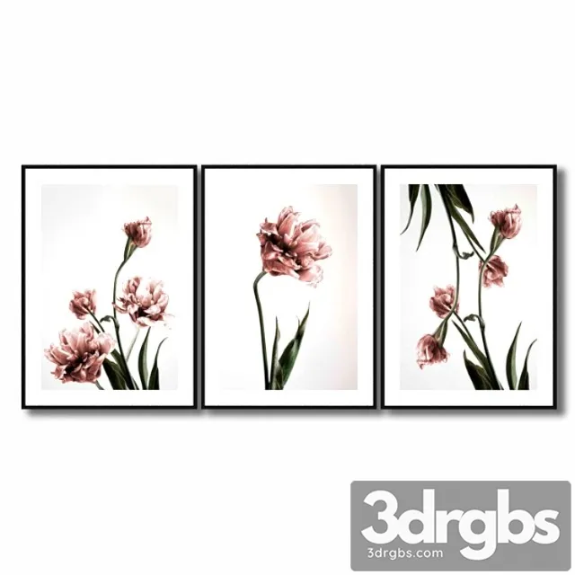 Posters with pink tulips. 3dsmax Download