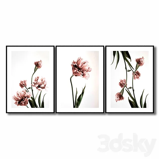 Posters with pink tulips. 3DSMax File