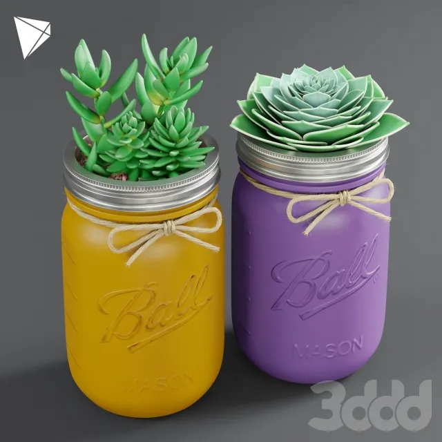 Pot Ball Mason Jar Succulent 3dsMax Model