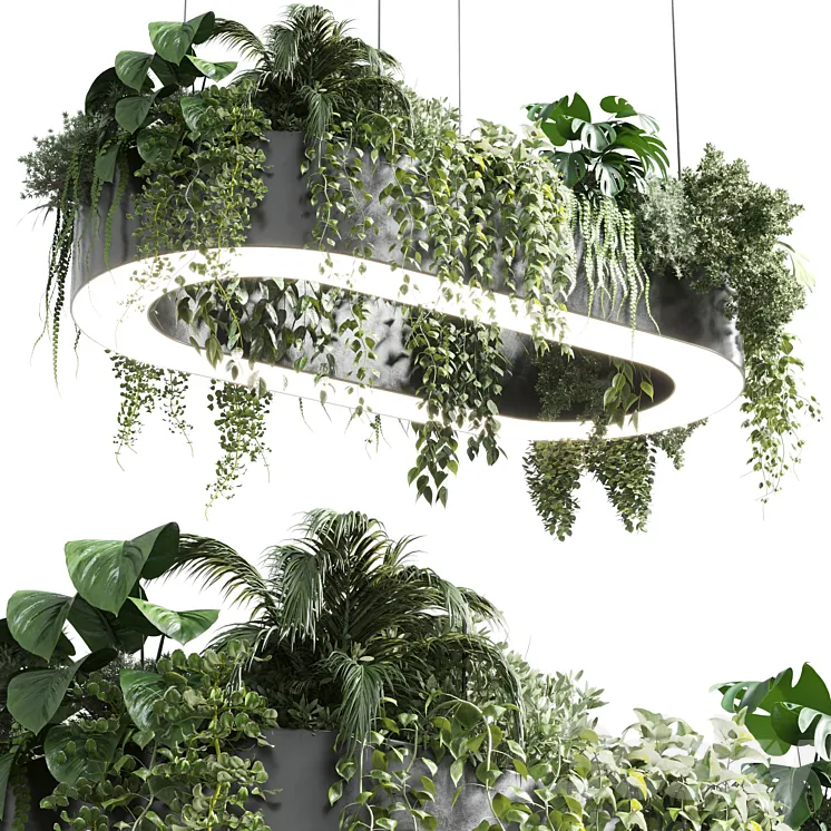 pot light – pendant plant light hanging 06 corona 3DS Max Model