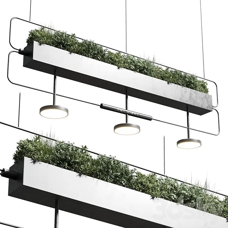 pot light – pendant plant light hanging 07 3DS Max Model