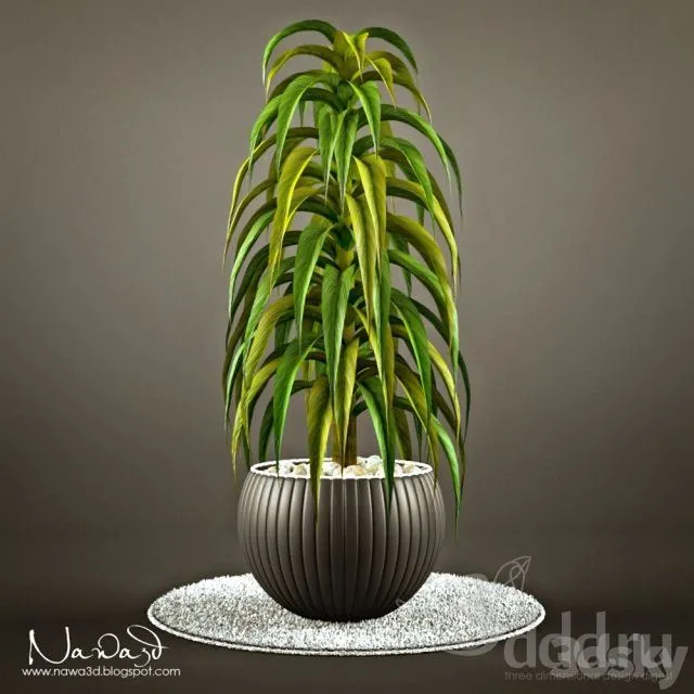 Pot Plant 1 3dsMax Model