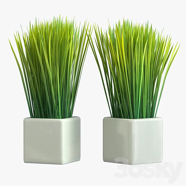 Pot Plant 17 3ds Max