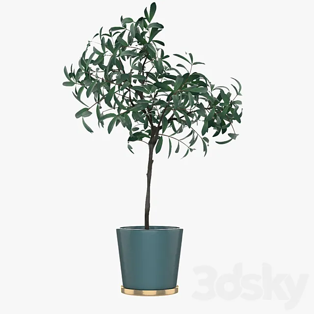 Pot Plant 25 3ds Max