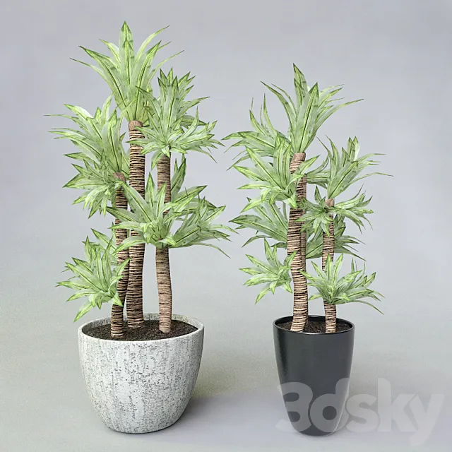 Potted plant 3DSMax File