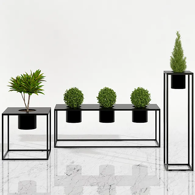 Potted plants 05 3DSMax File