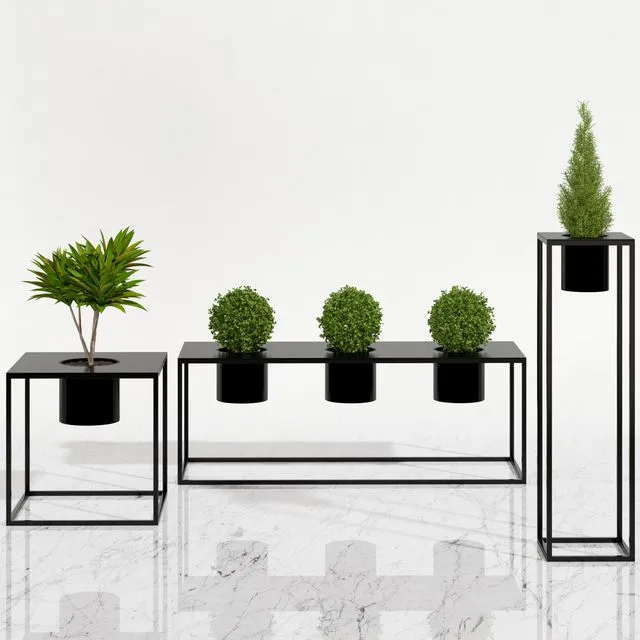 Potted plants 05 3dsMax Model