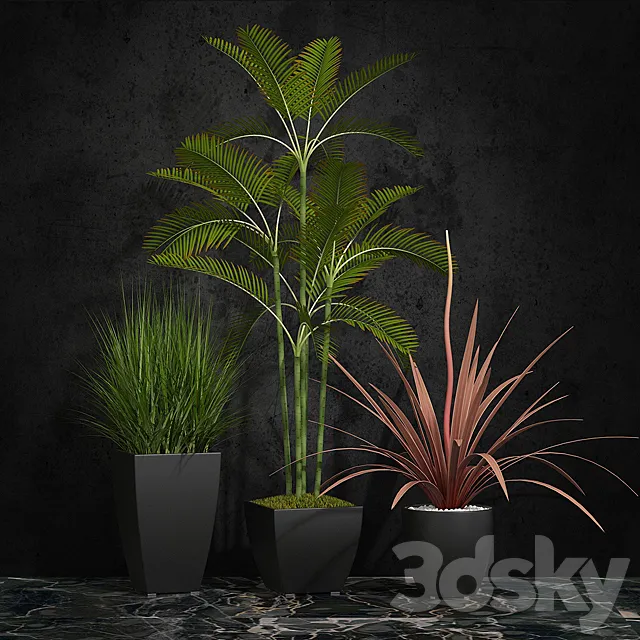 Potted plants 06 3ds Max