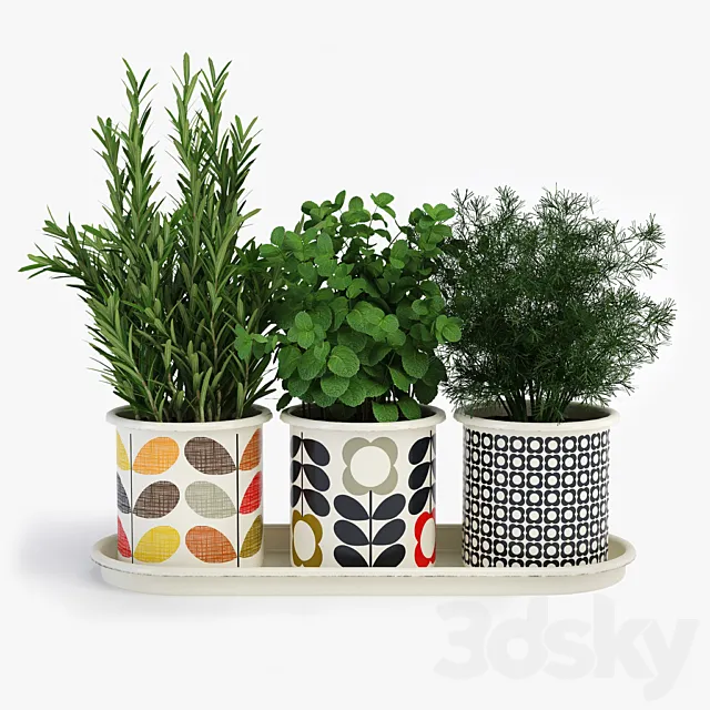 Potted Plants Orla Kiely Herb Pots 3DS Max Model