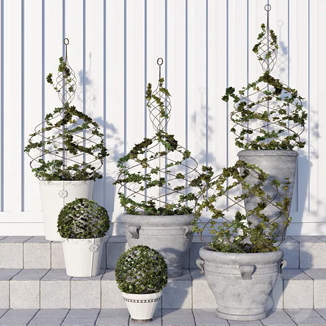 Pottery Barn _ Live Ivy Spiral Topiary 3DSMax File