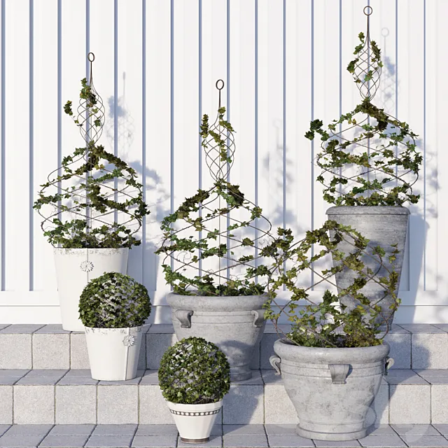 Pottery Barn _ Live Ivy Spiral Topiary 3DS Max Model