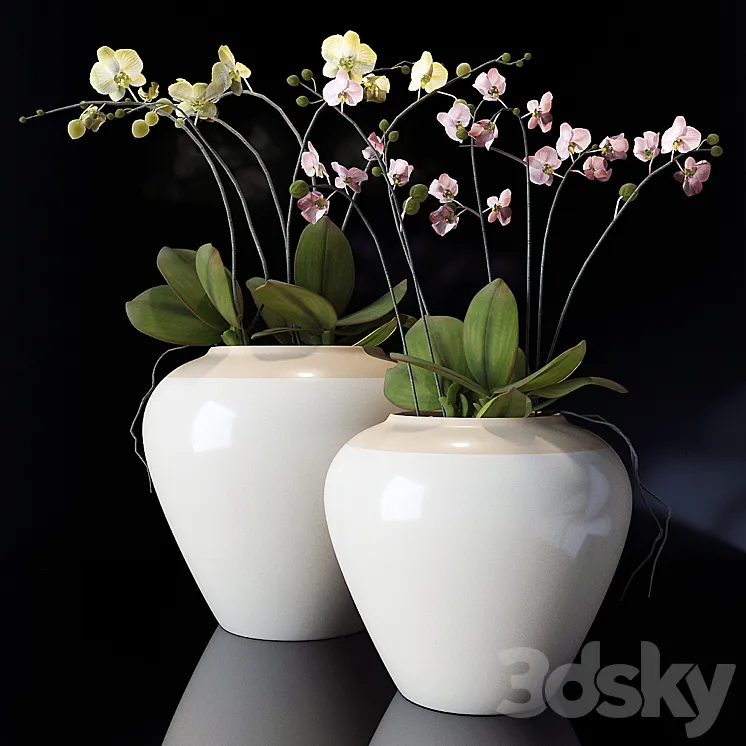 potterybarn Orchid 3DS Max