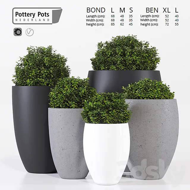 Potterypots five 3DS Max Model