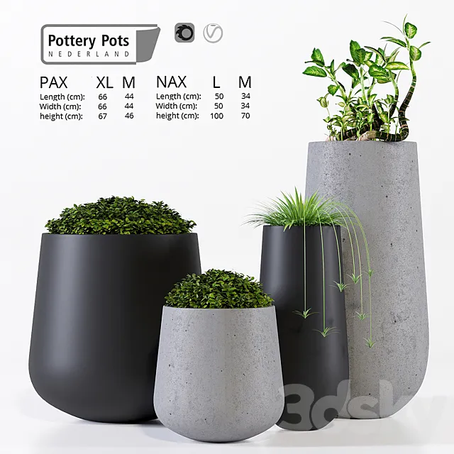 Potterypots two 3ds Max