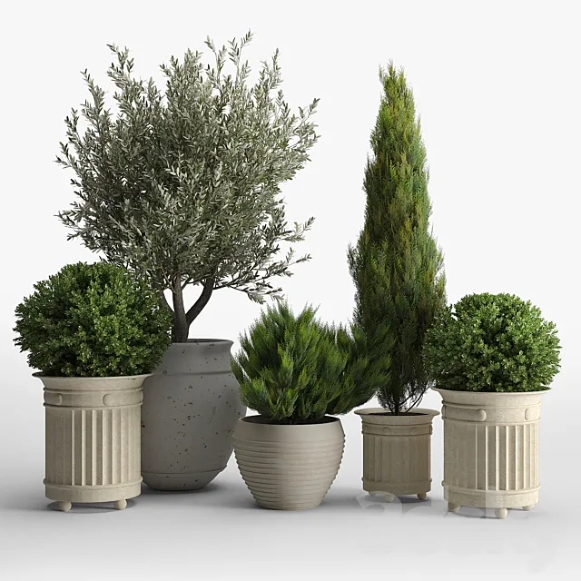 prescott planter set 3DSMax File