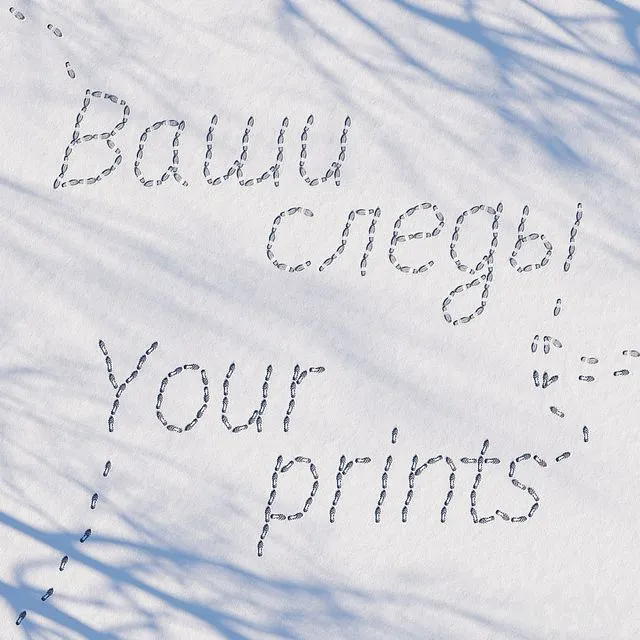 Prints in the snow 3dsMax Model