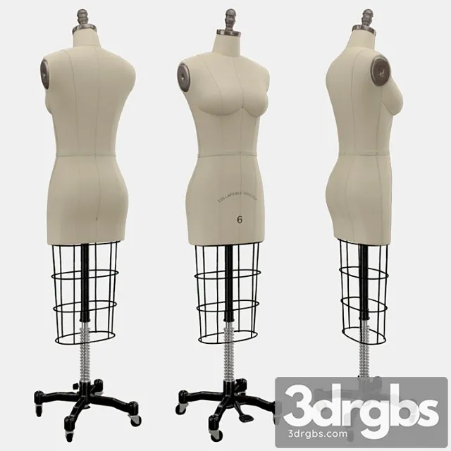 Professional dress form with collapsible shoulders size 6 3dsmax Download