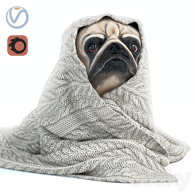 Pug 1 – Winter is coming 3DS Max