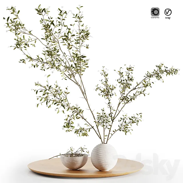 Pulm Branch in White Vase Set3 3DS Max Model