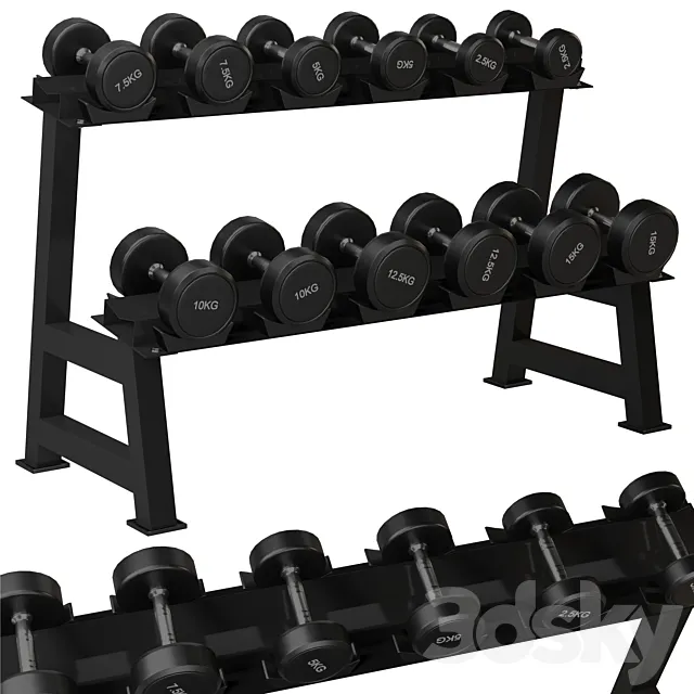 QIFFIY Dumbbell Rack 3DS Max Model