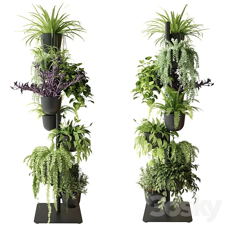 Rack with indoor plants in pots 3DS Max Model