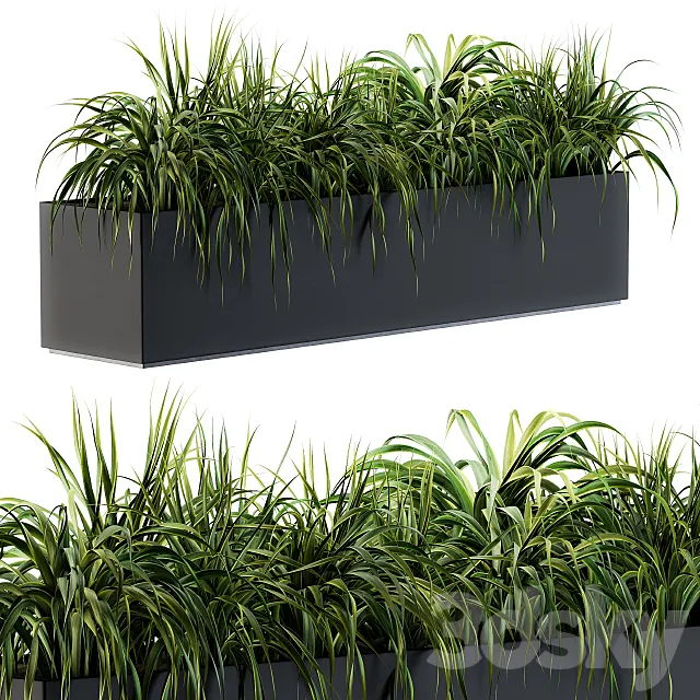 Ranch Grass plants in box – Outdoor Set 63 3DS Max Model