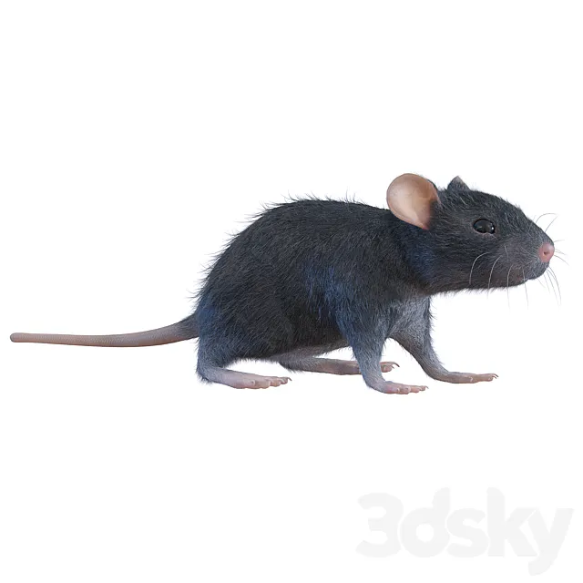 Rat 3ds Max