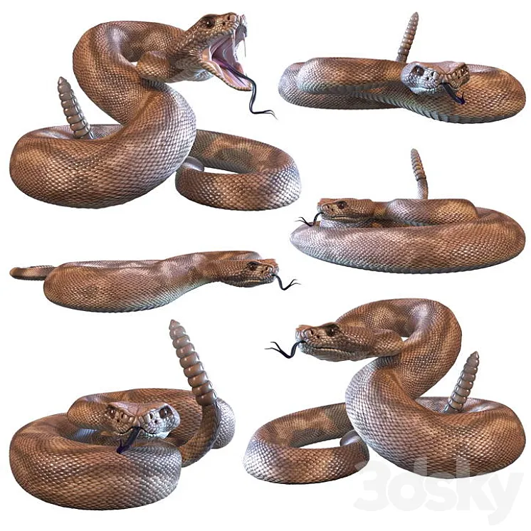 Rattlesnake 3DS Max Model