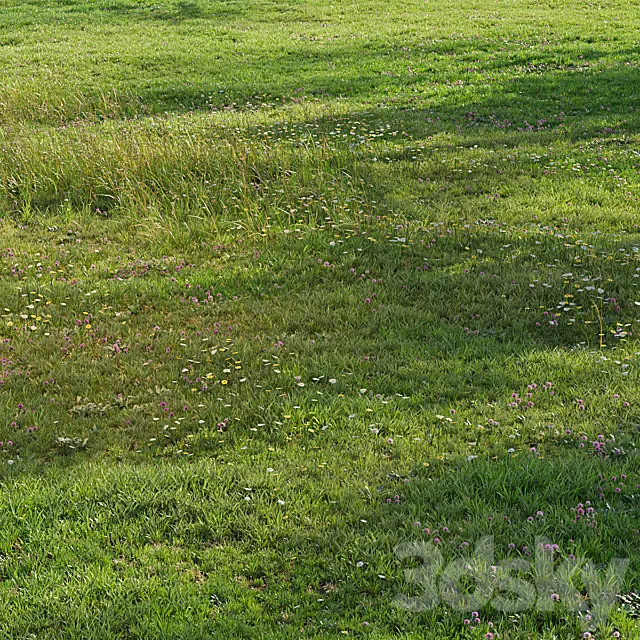 Realistic meadow grass 3ds Max