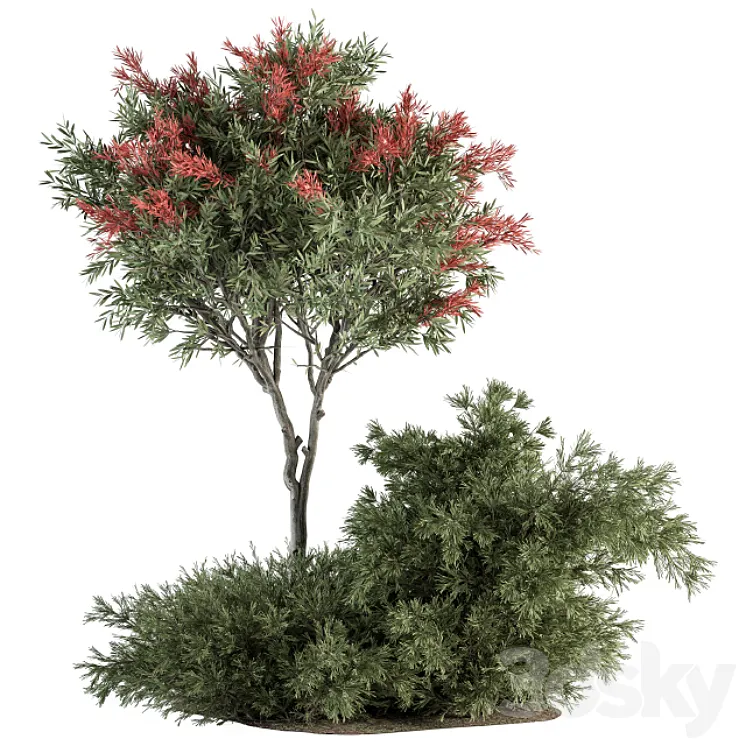 Red Crape Myrtle tree and Bush – Outdoor Garden Set 313 3DS Max