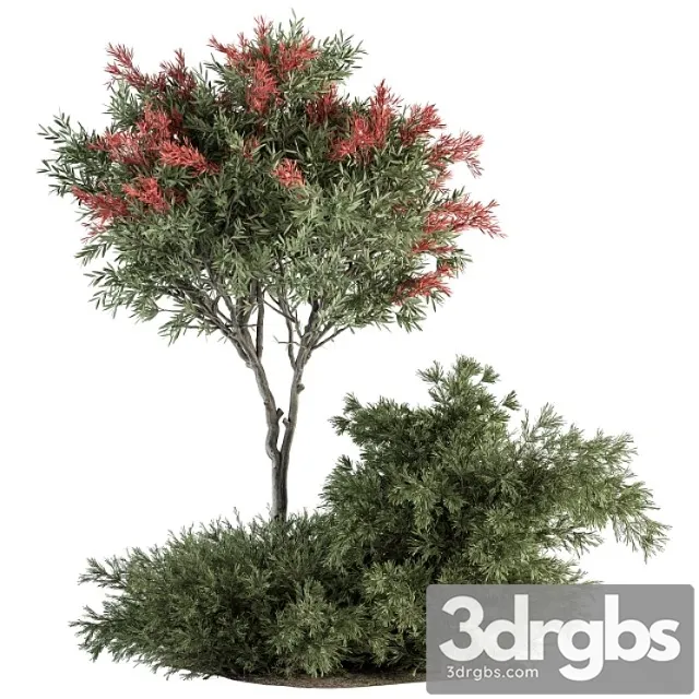 Red crape myrtle tree and bush – outdoor garden set 313