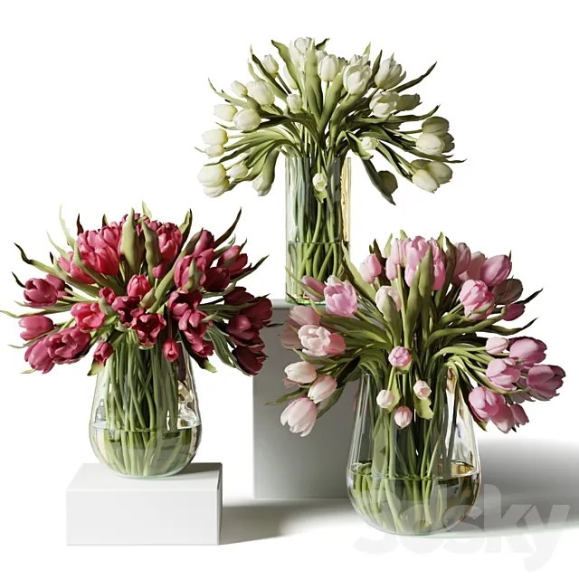 Red pink and white tulips in glass vases 3DS Max Model