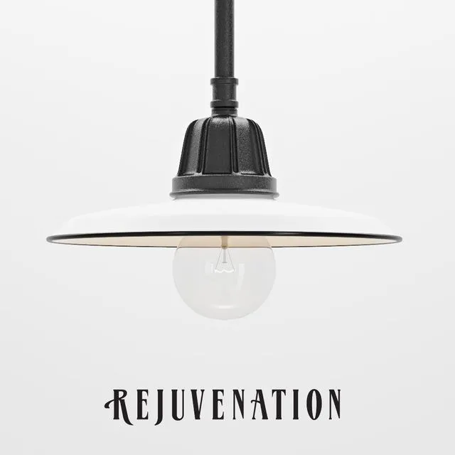 Rejuvenation Carson Rad Pendant 3dsMax Model