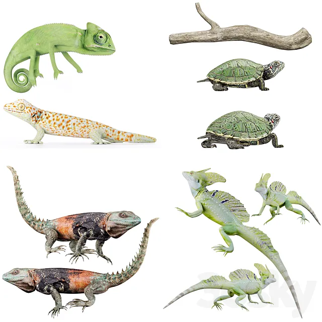 Reptile Collection 3dsMax Model