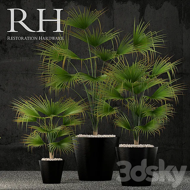 Restoration Hardware caldera planter 3DS Max Model