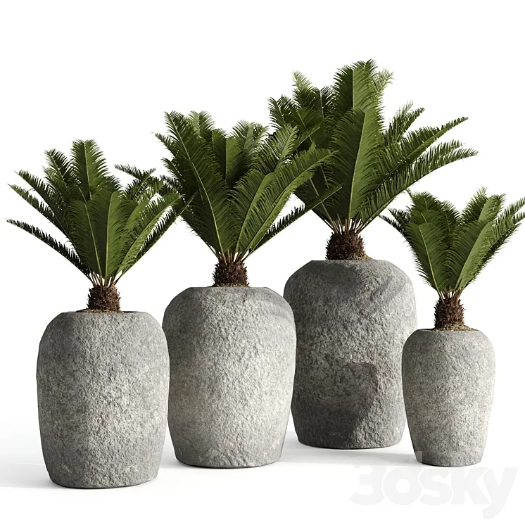 Restoration Hardware Cantera Planters With Sago Palm 3DS Max