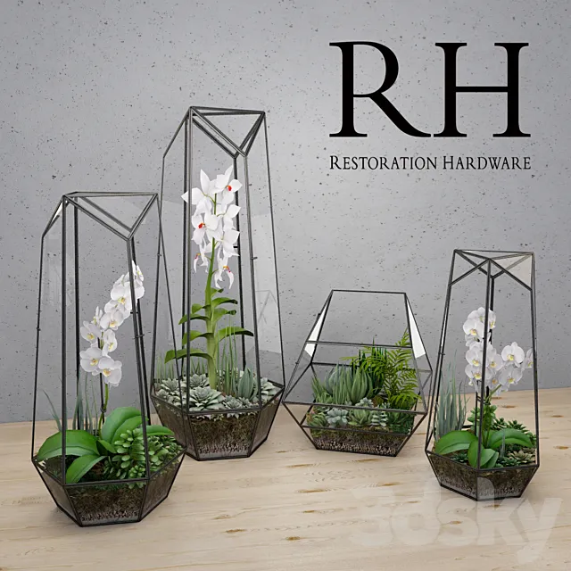 RH FACETED GLASS TERRARIUM 3DS Max Model