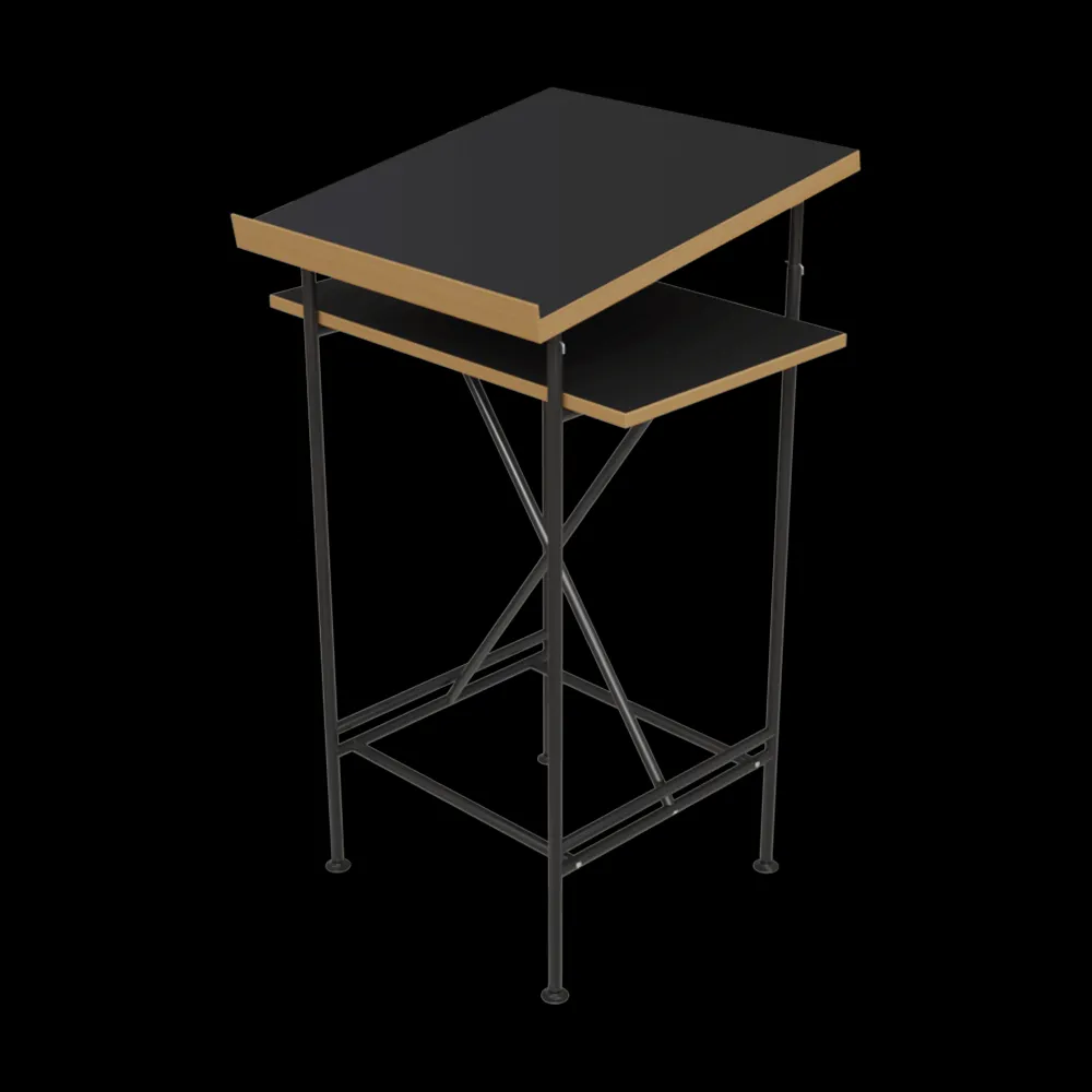 RICHARD LAMPERT – Standing desk MILLA 3ds Max