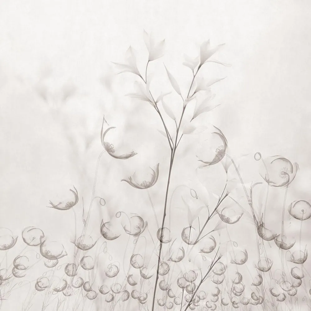 Rimura – Wallpaper Caly 3ds Max