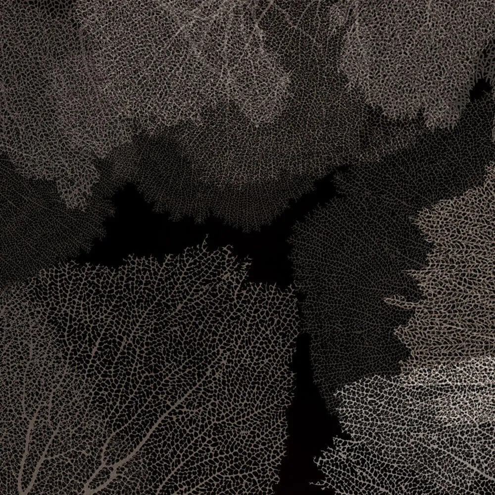 Rimura – Wallpaper Corales 3ds Max