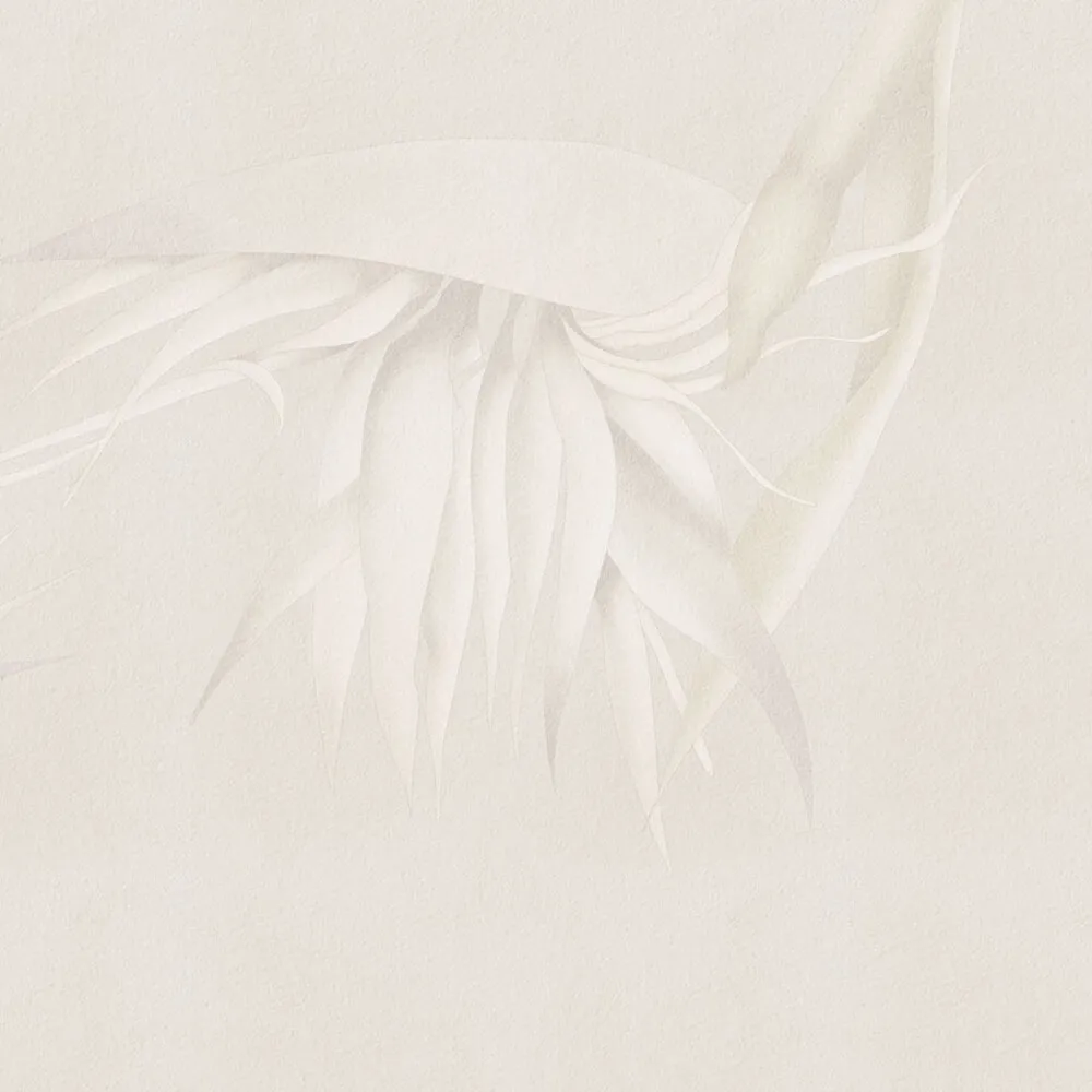 Rimura – Wallpaper Creazione 3ds Max