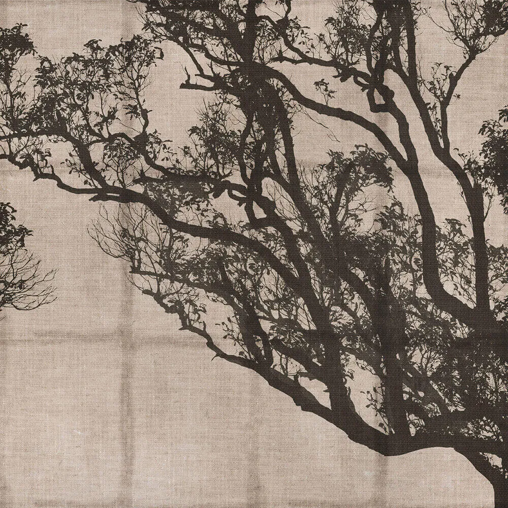 Rimura – Wallpaper Dafne 3ds Max