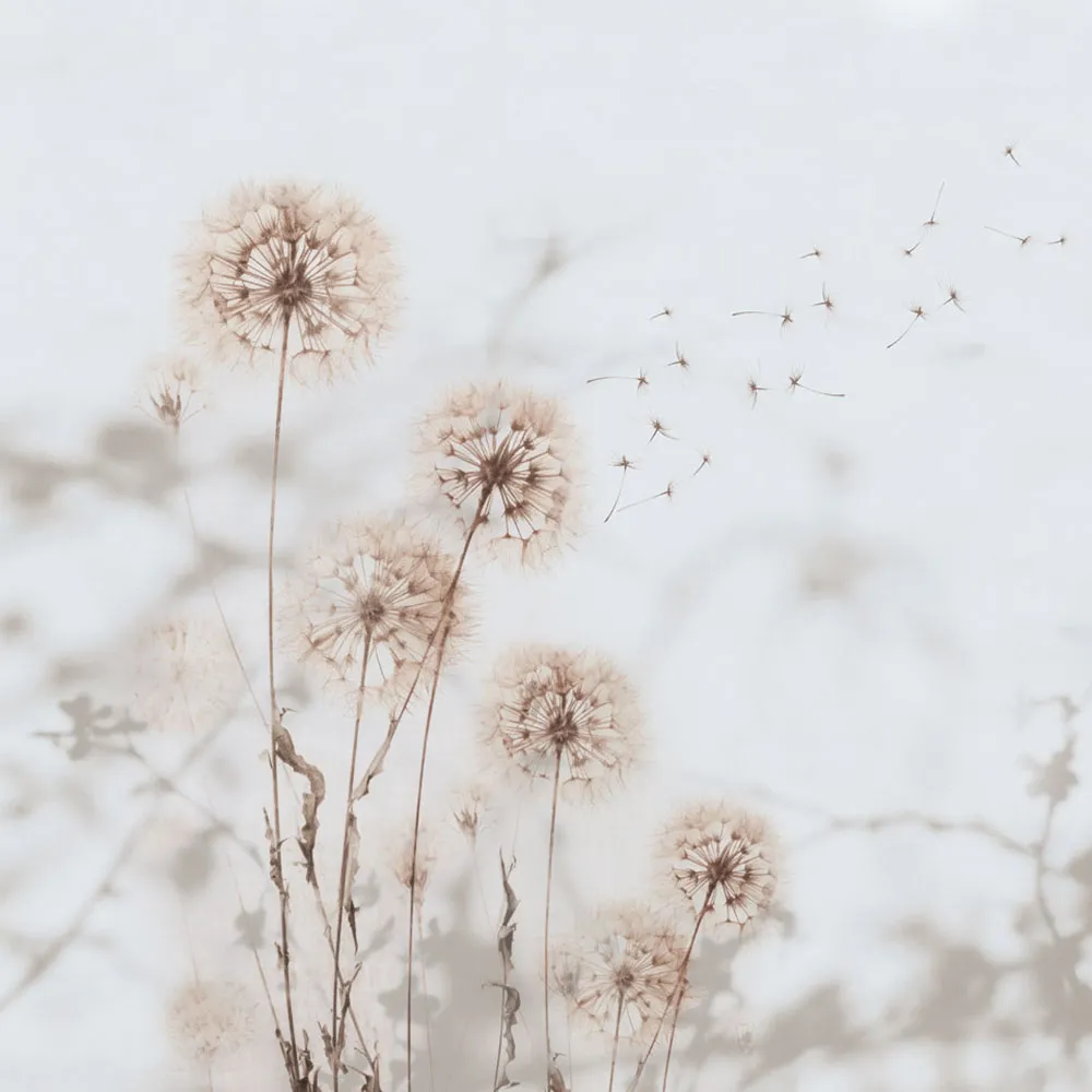 Rimura – Wallpaper Desiderio 3ds Max