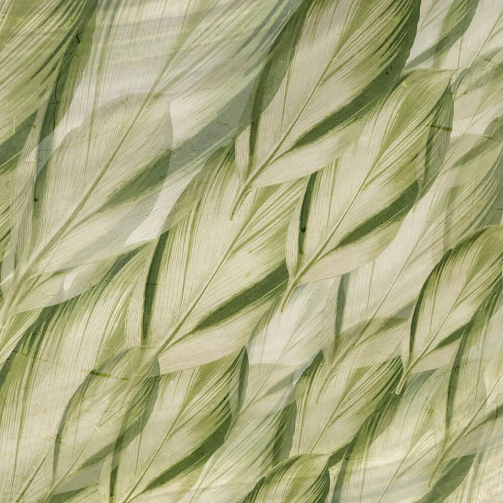 Rimura – Wallpaper Dracaena 3ds Max