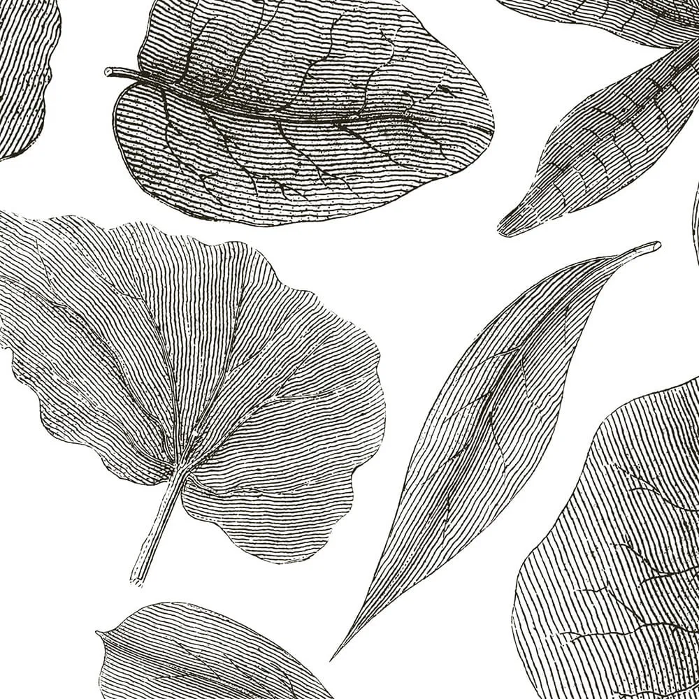 Rimura – Wallpaper Giant Leaves 3ds Max