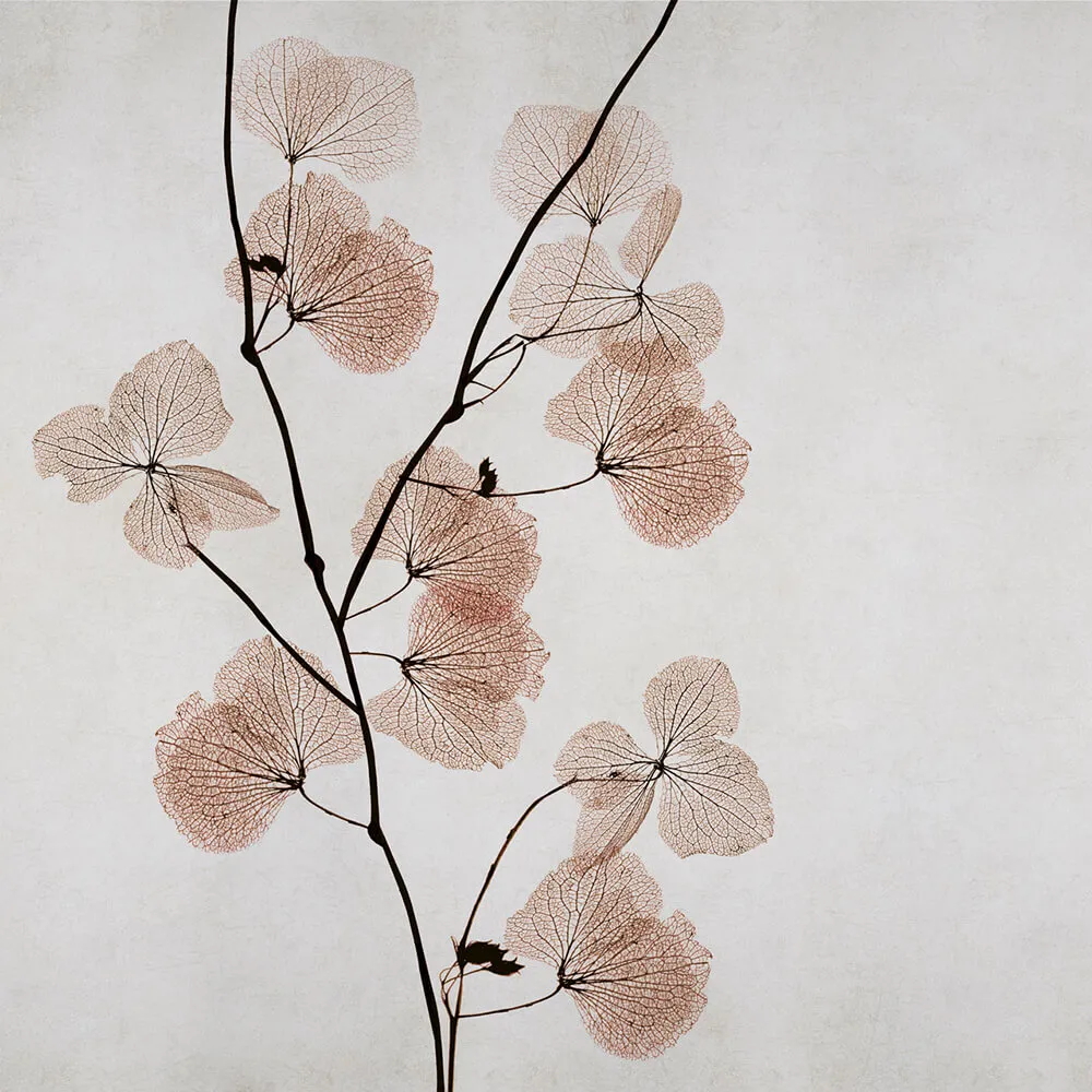 Rimura – Wallpaper Mizar 3ds Max